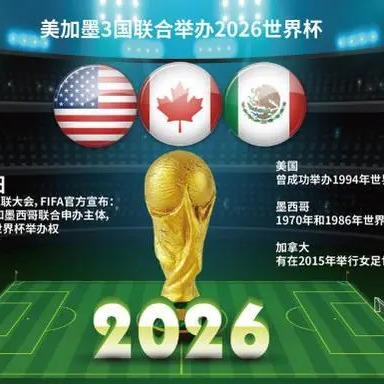 诺维茨基深,情吐露,情怀,世界杯买球,2026世界杯,竞彩投注,赛事分析,足球博彩